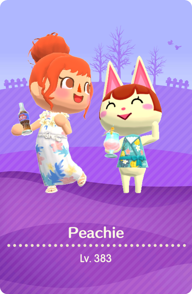 Front of Camper Card